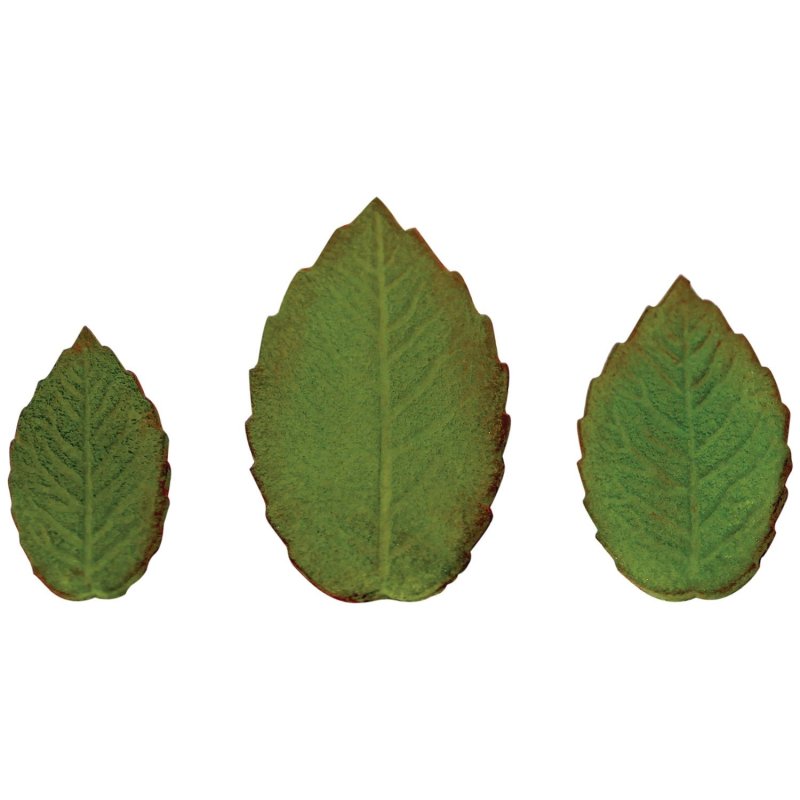 Wykrawaczki plastikowe - ANGWP2