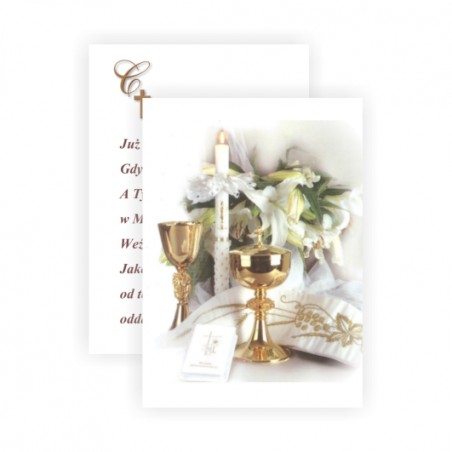 2x21x29cm PREMIUM - 2x1 szt. - SK21PSZTUKI