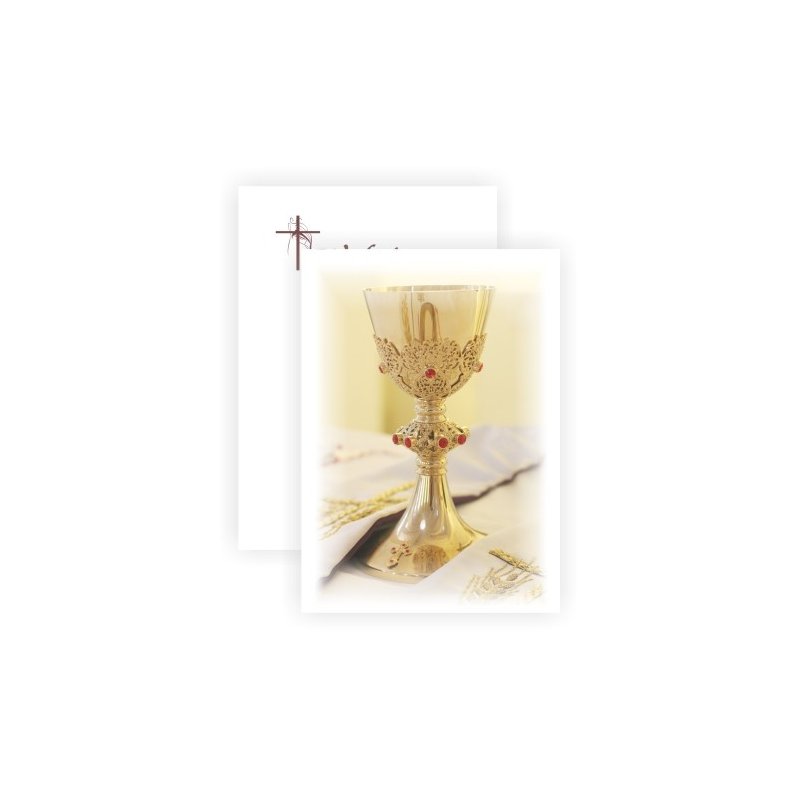 2x21x29cm PREMIUM - 2x1 szt. - SK24PSZTUKI