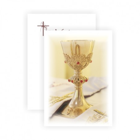 2x21x29cm PREMIUM - 2x1 szt. - SK24PSZTUKI