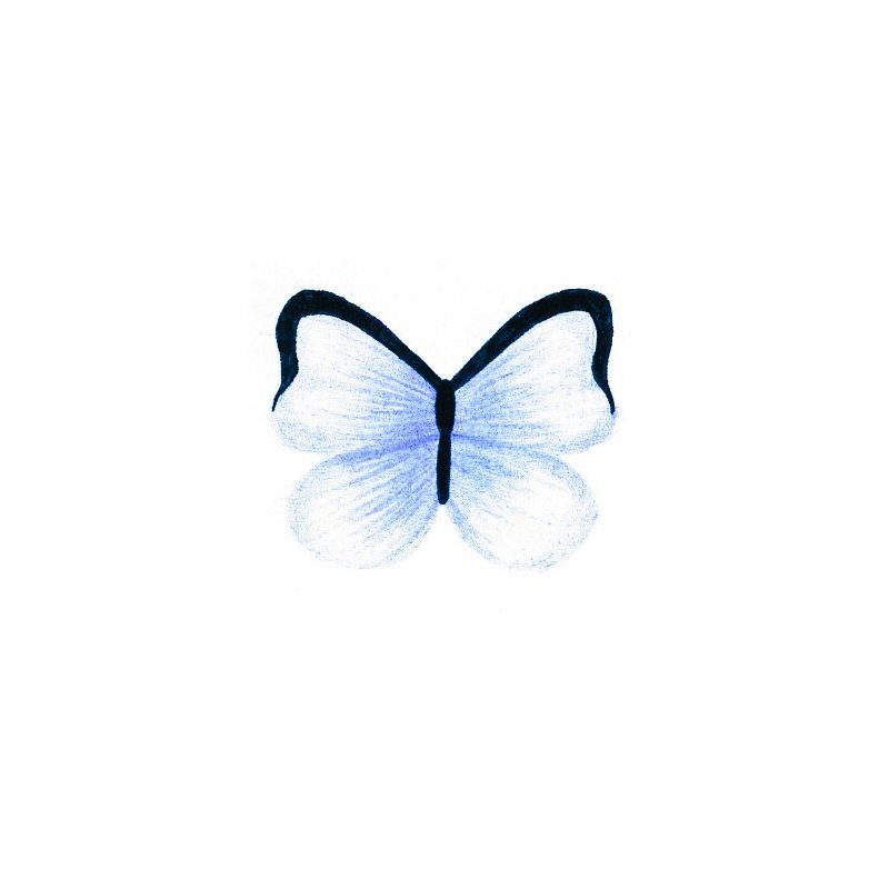 Dekoracje opłatkowe motylki-40x30mm-24 szt. -M108