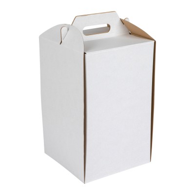 Karton do tortu 22x22x35cm - 5szt. - K22