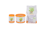 Pregel